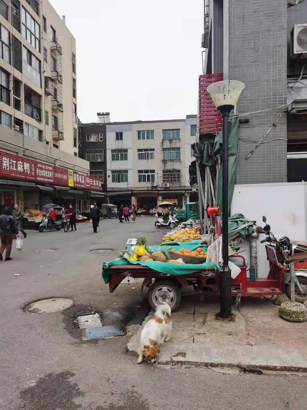 江陵县“郝穴大市场改造”项目抵税商品房一批拍卖公告(图17)
